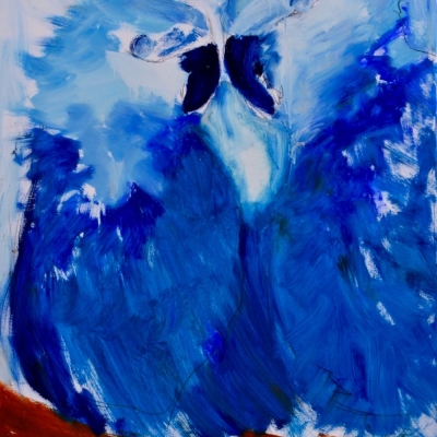 blaue Aras verschwindende Arten